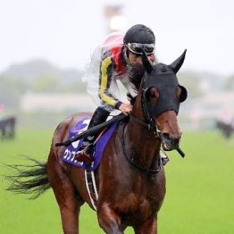 【大谷の土曜競馬コラム・関越Ｓ】