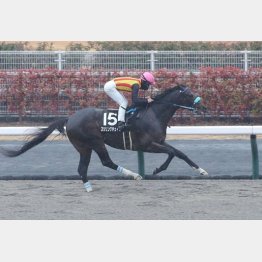 天竜川特別で中京３勝目