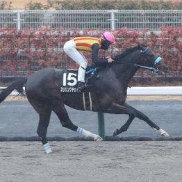 【橘の土曜競馬コラム・三河Ｓ】