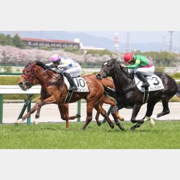 楽しみな千四挑戦(左)