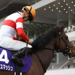 【東京本紙・外山の土曜新潟12Ｒ】