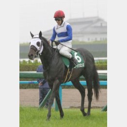 平安Ｓでは②着惜敗