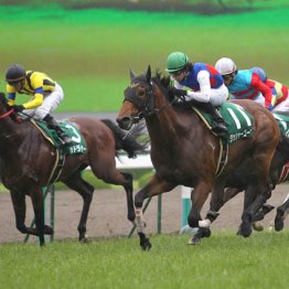 2010年ＣＢＣ賞覇者ヘッドライナー