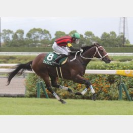 中京で行われた小倉2歳Sで重賞初制覇