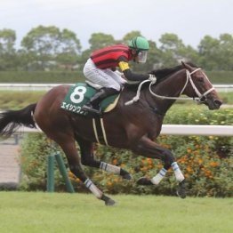 【市川の日曜競馬コラム・ＣＢＣ賞】