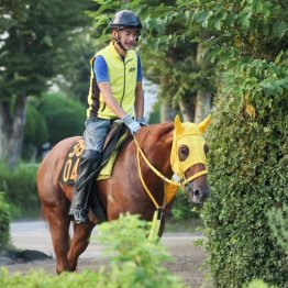 【飯島の日曜競馬コラム・レパードＳ】