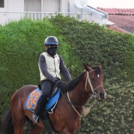【木津の日曜競馬コラム・ＣＢＣ賞】