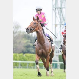 武豊で新馬勝ち