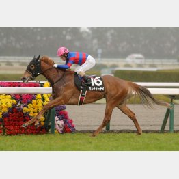 重馬場の2走前が完勝