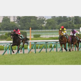 20年は5歳牝馬のワン・ツー
