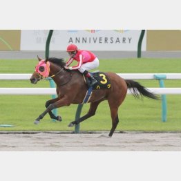 同じ距離のオープン・鳳雛Sを制した