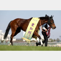 愛知杯は不利なピンク帽でV