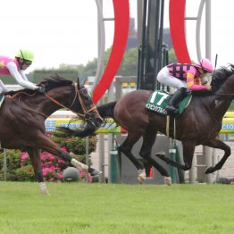 【ＣＢＣ賞】逃げ切りＶ インビンシブルパパが初タイトルを掴んだ２つの勝因