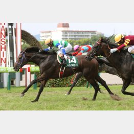 20年は18番人気メイケイダイハードがＶ