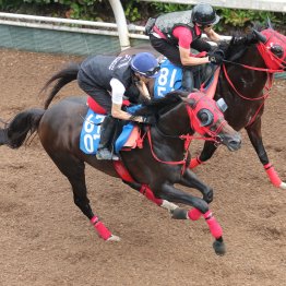 【中京記念】エコロヴァルツ 飛躍の秋とするために取りたい初タイトル