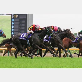 ヴィクトリアマイルでGⅠ2勝目を挙げたアスコリピチェーノ