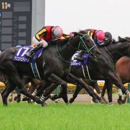 【仏GⅠ・ジャックルマロワ賞】アスコリピチェーノの課題と立ちはだかる相手は