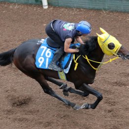 【中京記念】ブルーミンデザイン前走の勝ちぷっり、時計は重賞級
