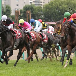 【札幌記念】データ作戦　１、２番人気が明暗を分ける