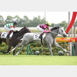 中京は新馬Ｖの舞台