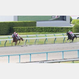 未勝利戦は１秒９差の圧勝