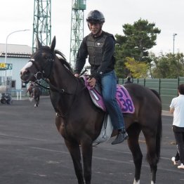 【木津の土曜競馬コラム・札幌２Ｒ】