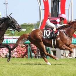 【橘の土曜競馬コラム・高山Ｓ】