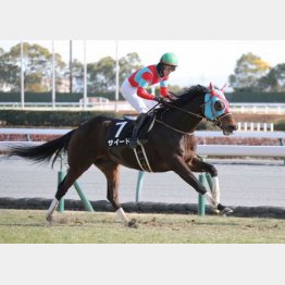 牛若丸ＪＳを快勝
