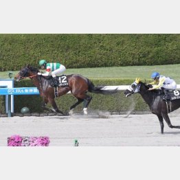 ３走前に２勝クラスを卒業