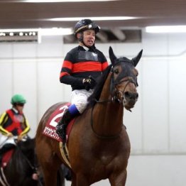 【市川の日曜競馬コラム・札幌記念】