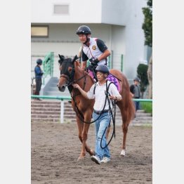 中京記念は３歳牝馬マピュース