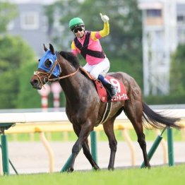 【大谷の日曜競馬コラム・札幌記念】