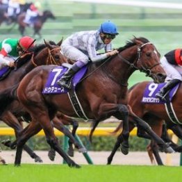 【武田の日曜競馬コラム・札幌記念】