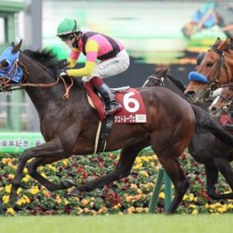 【橘の日曜競馬コラム・札幌記念】