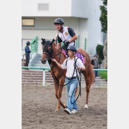 古馬相手でも