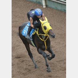 肌ツヤの良さから状態面も◎