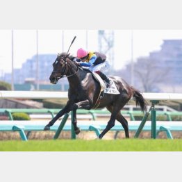２勝クラスも突破する