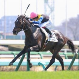 【東京本紙・外山の日曜新潟８Ｒ】