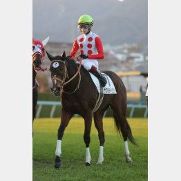 ３勝クラスなら上位