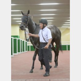 亀井はブルーサンセットで2週連続ヒットを狙う