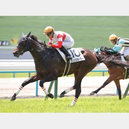 レベルの違いを感じさせての未勝利勝ち