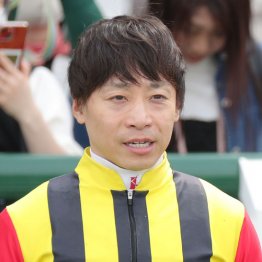 【札幌記念】ステレンボッシュGⅠ馬の貫禄見せる
