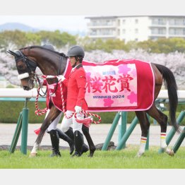 桜の女王が三つ巴戦を制す