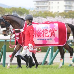 【札幌記念】夏は牝馬ステレンボッシュ　相手は２頭