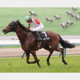 直線平坦コースで末脚発揮