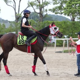 【中京３Ｒ・２歳新馬】スウィッチインラヴ　牝・矢作芳人厩舎