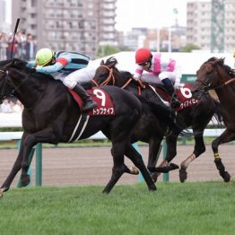 【札幌記念】10番人気トップナイフがＶで３連単は１３０万７６５０円の大波乱