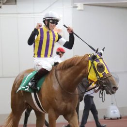 雨馬場が味方したトップナイフより、収穫大は間隔が詰まっても崩れなかったココナッツブラウン