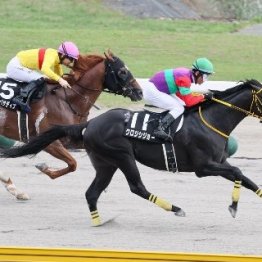 【ＮＳＴ賞】１番人気クロジシジョー差し切り