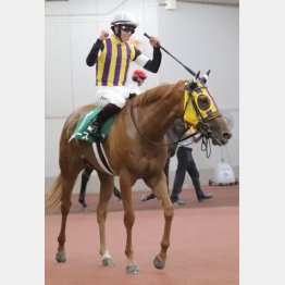 ①着マピュース（横山武騎手）「いい馬だなと昔から思っていたので、鞍上を任せていただけてうれしかった」